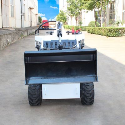 400 KG 600 KG Ganglader Farm Gebrauchtes Stand auf elektrischem Ladegerät mit Leistung und YUNNEI